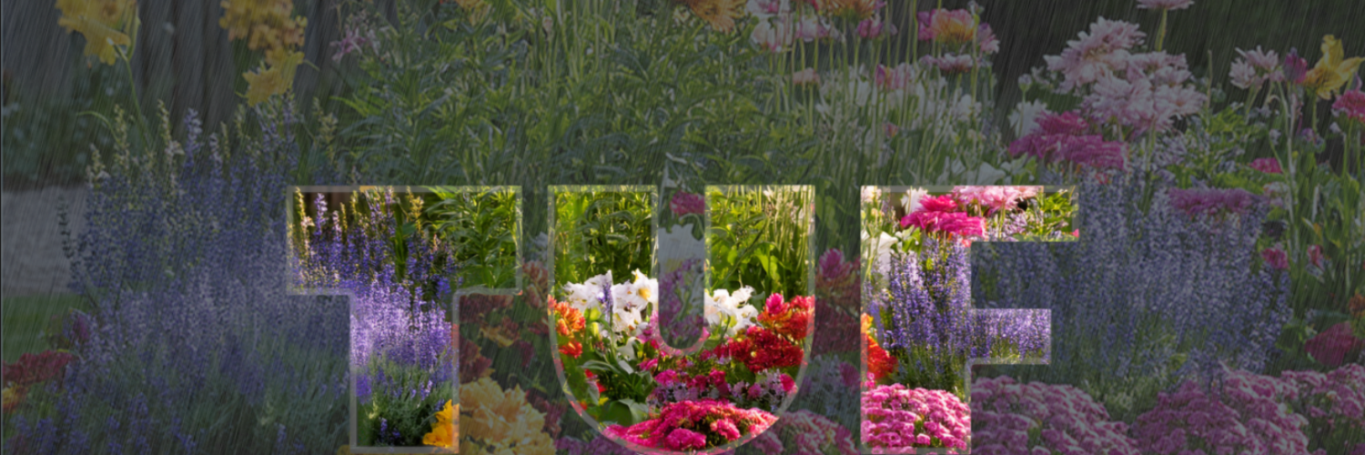 Image of Banner